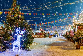 Crăciun scena de pe Strada Reni Fundal Pentru Fotografie Snowfield pomi de Crăciun Fundal Pentru Photo Booth Circ Medii 21508