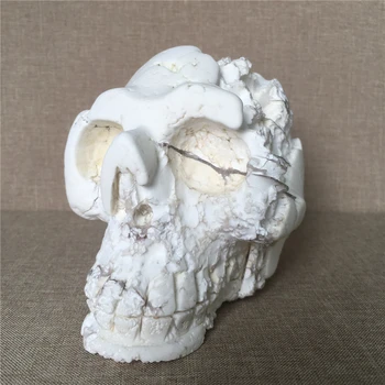 Naturale craniului Magnezit cristal de cuarț Pietre de nunta decor acasă chakre tratament de Halloween DIY cadou Reiki cranii 0