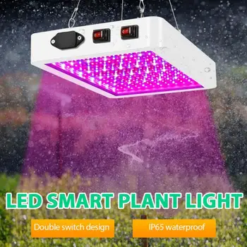 Planta cu LED-uri Cresc de Lumină Hidroponice Spectru Complet de Interior Legume Flori, Plante Lampă de Panou Bandă de Semințe de Plante de Sere Flori 0