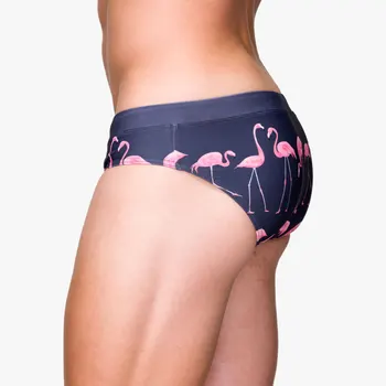 Sexy Flamingo Imprimare De Costume De Baie Barbati Inot Indispensabili Truks Bikini Pool Talie Joasa Bărbați Costume De Baie Plaja De Surfing Pantaloni Scurți De Înot Portbagaj 0