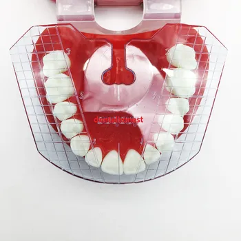 1buc laborator dentar dentar placă de ghidare dinți aranjament pe proteza instrumente dentare dinte 1