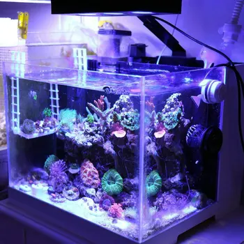 LED Acvariu Lumina - Aqua Cavaler 30W apă Sărată de Iluminat 3W CREE Cip de Control Tactil pentru Recif de Corali Rezervor de Pește de HIPARGERO 2