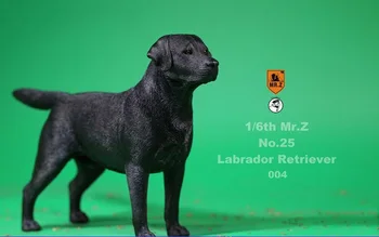 În Stoc de Colectie 1/6 D z NR.25 Labrador Retriever Câine Jucarii Model 001/003/004 pentru 1/6 Acțiune Figura Scena Accesoriu 2