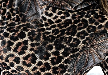 European de primăvară Haine tricou Chic, Sexy Leopard Gât Înalt de Catifea Tricou Femei Topuri Ropa Mujer Bottom Tricou Tricouri 2020 T06801 3