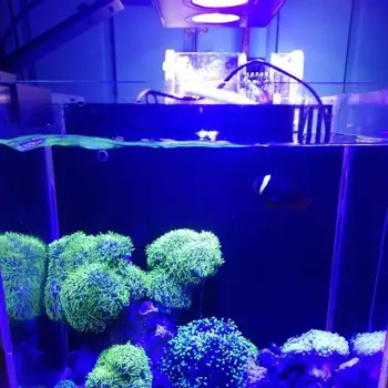 LED Spectrele Acvariu Lumina 30W apă Sărată de Iluminat cu Control pentru Recif de Corali Rezervor de Pește SUA UE Plug 3