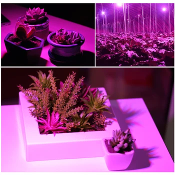 Spectru complet de Bec cu LED pentru Cresterea Plantelor 6W 10W 30W 50W 80W Phytolamp E27 Becuri UV pentru Plante Flori Răsaduri Cresc Cort 3
