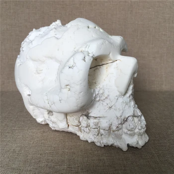 Naturale craniului Magnezit cristal de cuarț Pietre de nunta decor acasă chakre tratament de Halloween DIY cadou Reiki cranii 5