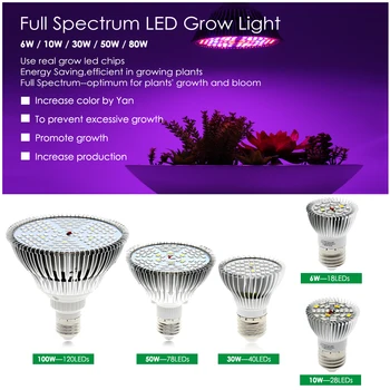 Spectru complet de Bec cu LED pentru Cresterea Plantelor 6W 10W 30W 50W 80W Phytolamp E27 Becuri UV pentru Plante Flori Răsaduri Cresc Cort 5