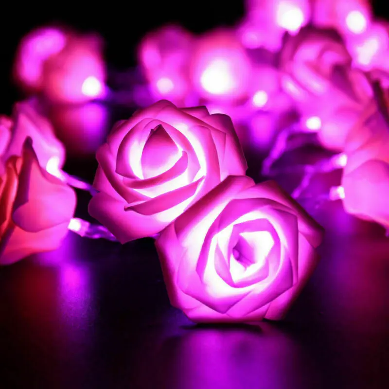 20 LED-uri a Crescut de Flori de Crăciun Șir de Lumini Zână Nunta Petrecere de Craciun Decor de Gradina 1