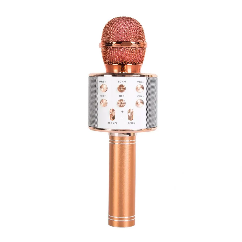 Profesionale Wireless Bluetooth Microfon Difuzor Portabil Mini Microfon Karaoke Music Player Cântând Recorder Microfon 1