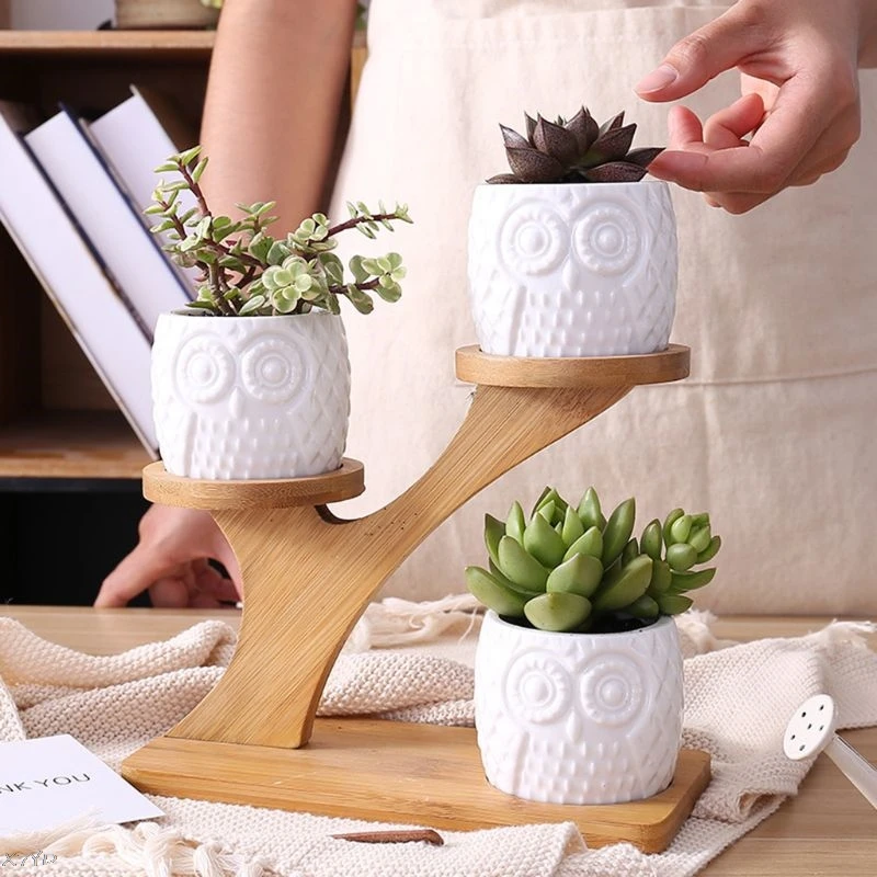 Ceramice de Vase de Gradina Decorative Moderne de Pepinieră Plante Suculente Oala de 3 Bonsai Plantat cu 3 Niveluri de Bambus Raft Liber Nava 2
