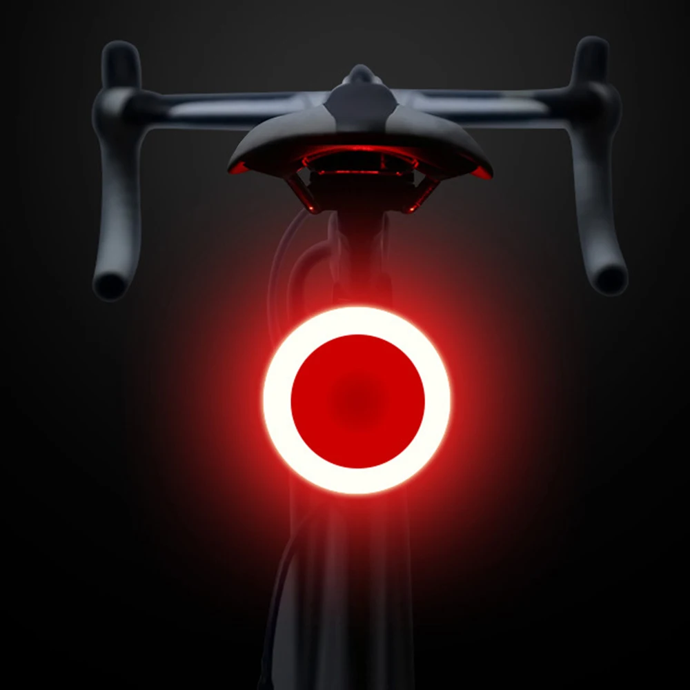 Mai multe Moduri de Iluminare pentru Biciclete Lumina USB Charge Led Biciclete Lumina Flash Coada Spate Lumini pentru Biciclete de Munte Biciclete Seatpost 2