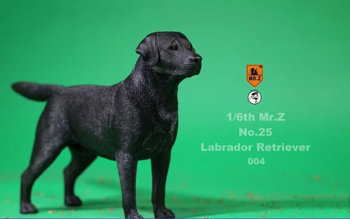În Stoc de Colectie 1/6 D z NR.25 Labrador Retriever Câine Jucarii Model 001/003/004 pentru 1/6 Acțiune Figura Scena Accesoriu 2
