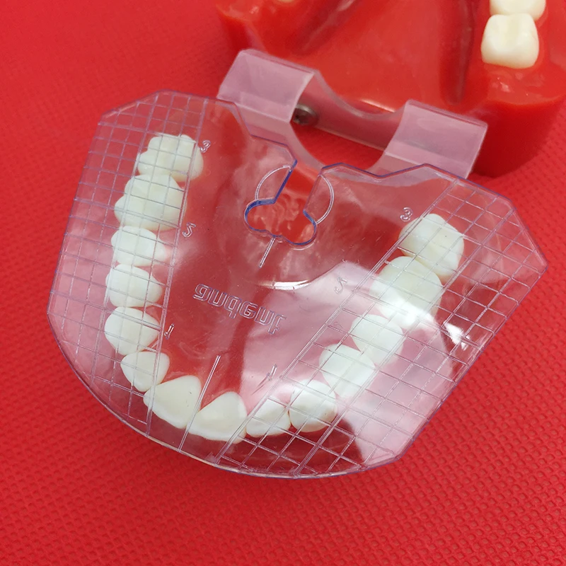 1buc laborator dentar dentar placă de ghidare dinți aranjament pe proteza instrumente dentare dinte 3