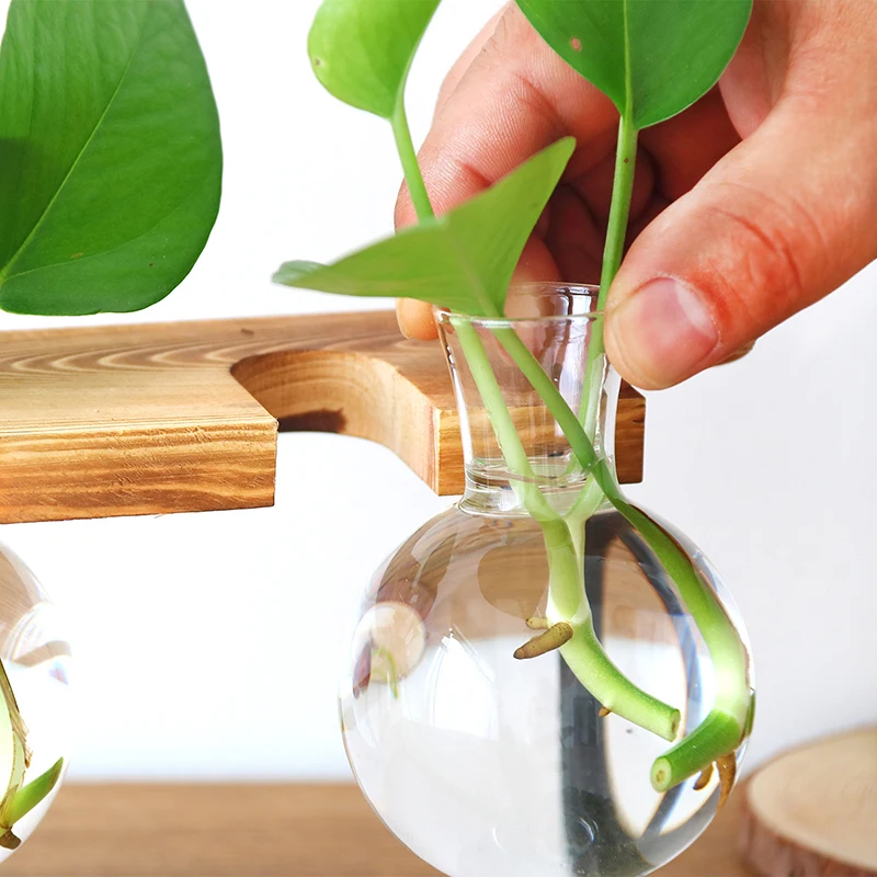 Pahar Sticla Vaza Hidroponice de Plante Vaza Transparenta Cadru de Lemn Magazin de Cafea Cameră Decor Masă de Birou Vaza Decor terariu 3