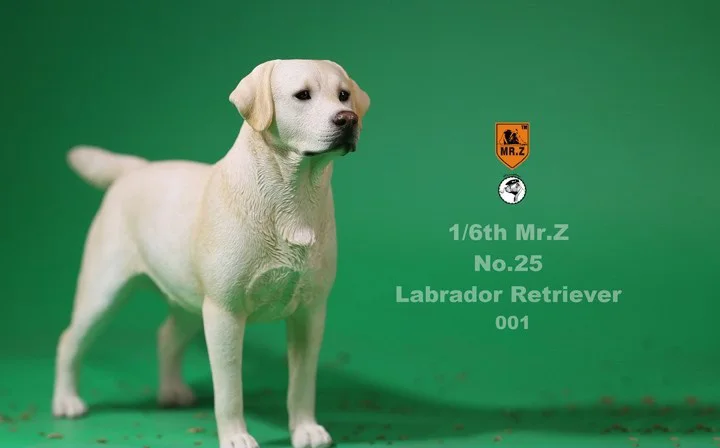 În Stoc de Colectie 1/6 D z NR.25 Labrador Retriever Câine Jucarii Model 001/003/004 pentru 1/6 Acțiune Figura Scena Accesoriu 3
