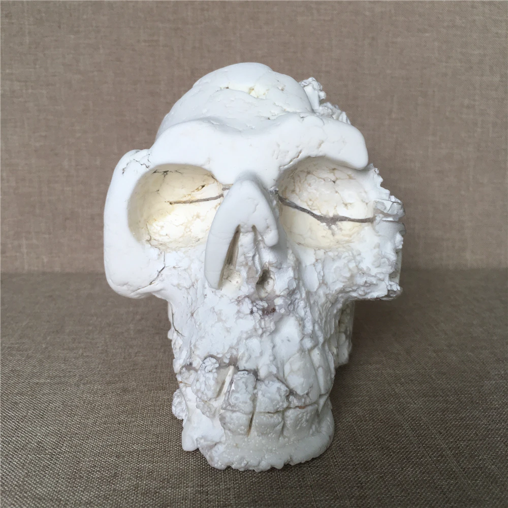 Naturale craniului Magnezit cristal de cuarț Pietre de nunta decor acasă chakre tratament de Halloween DIY cadou Reiki cranii 4