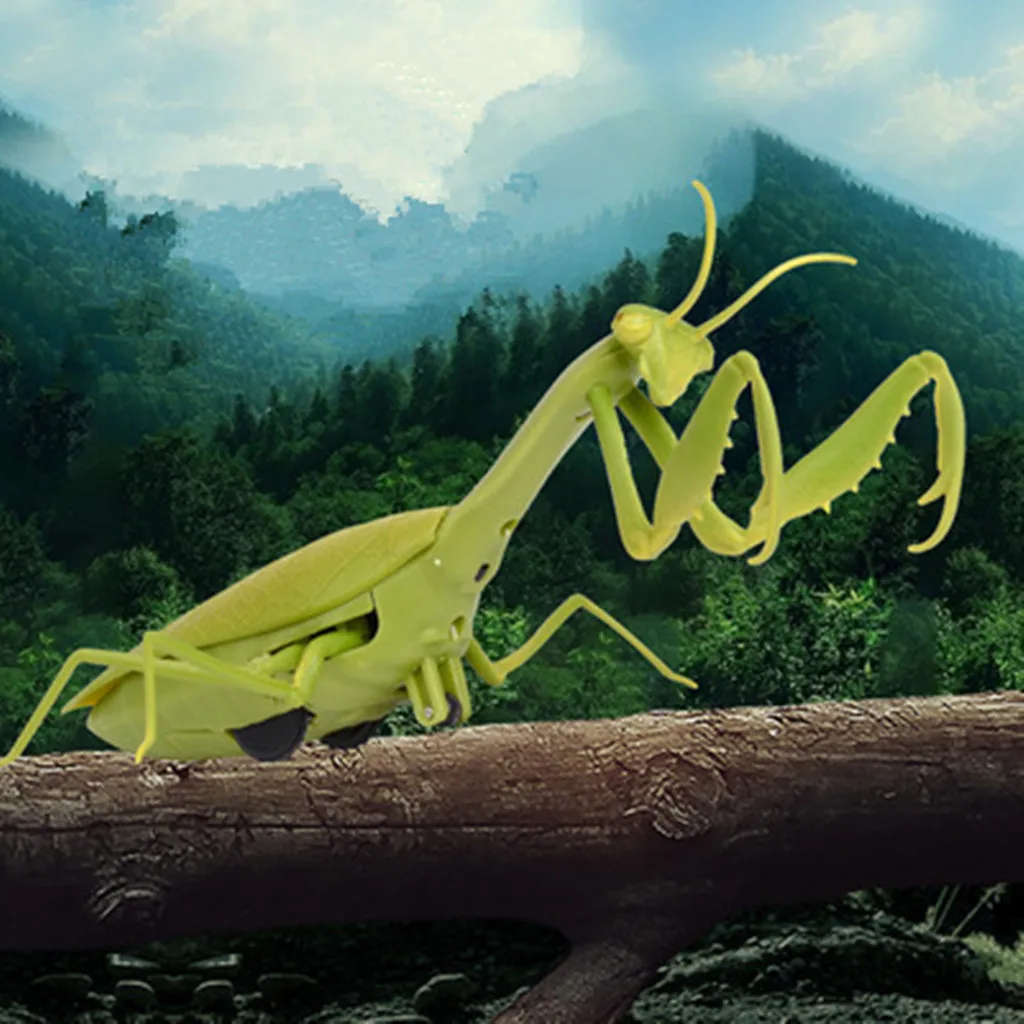 Infraroșu Control de la Distanță Realist Mini Mantis RC Insecte Înfricoșătoare Truc Jucărie de Simulare de Animale Glumă Amuzant pentru Copii pentru Copii Jucarie Cadou 5